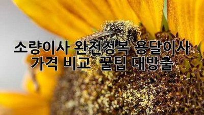 소량이사 완전정복🚀: 용달이사 가격 비교 & 꿀팁 대방출🍯