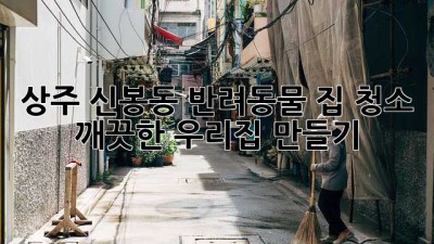 상주 신봉동 반려동물 집 청소: 깨끗한 우리집 만들기