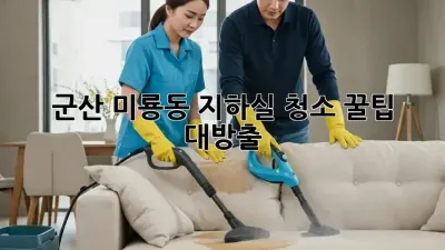 군산 미룡동 지하실 청소🧹 꿀팁 대방출! ✨